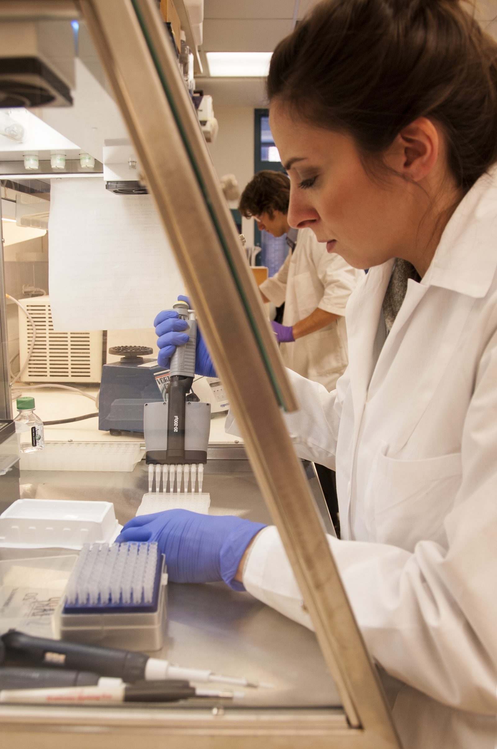 A researcher loading samples into a microplate with a multichannel pipette.